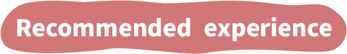 Recommended experience